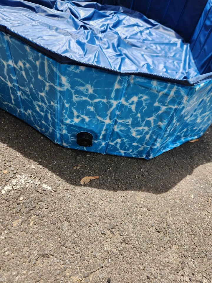 Large Blue Kiddie or Pet Pool (5ft) - photo 3