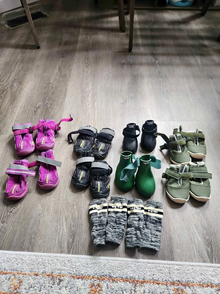 Dog shoes and socks