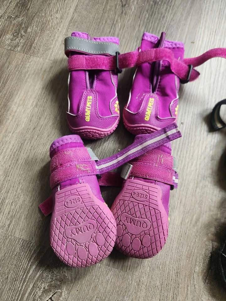 Dog shoes and socks - photo 2