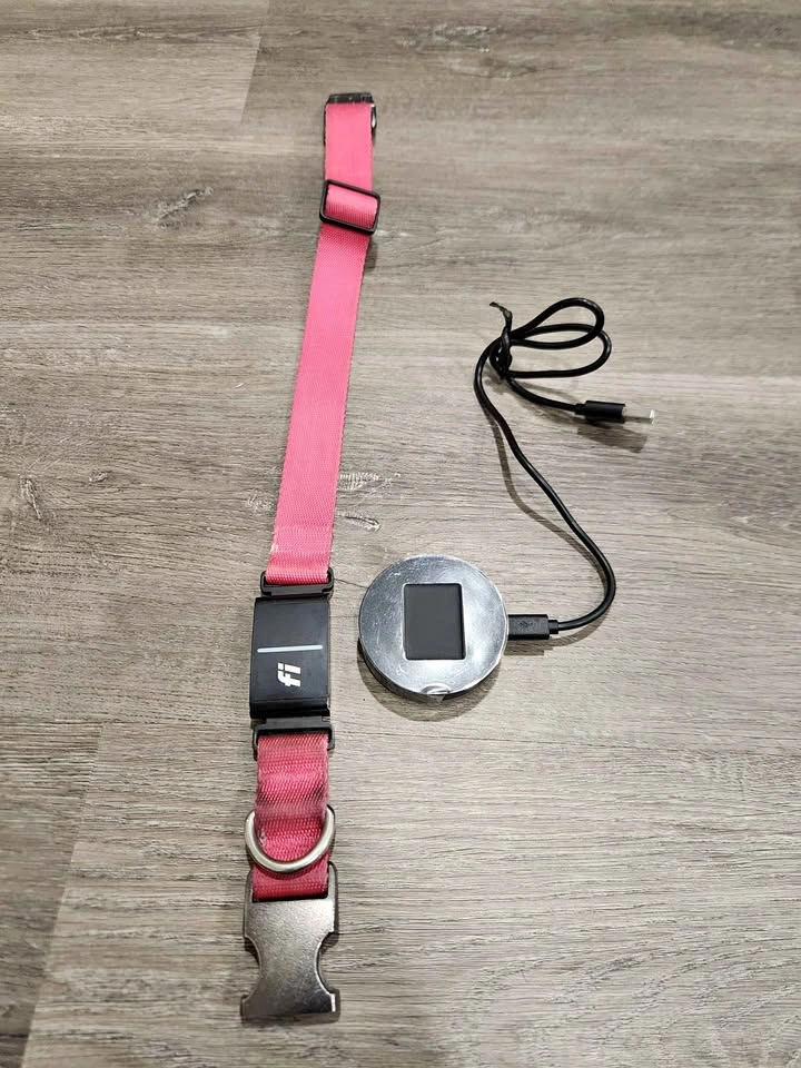 Fi Series 3 Smart Dog Collar Pink w/ Charger