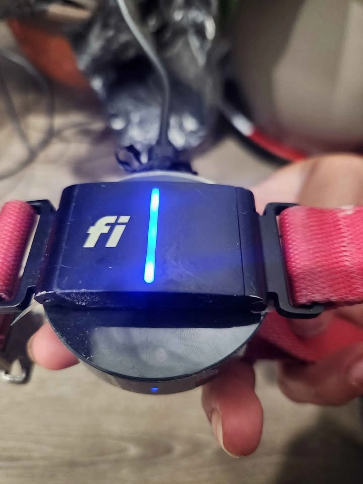 Fi Series 3 Smart Dog Collar Pink w/ Charger - photo 2