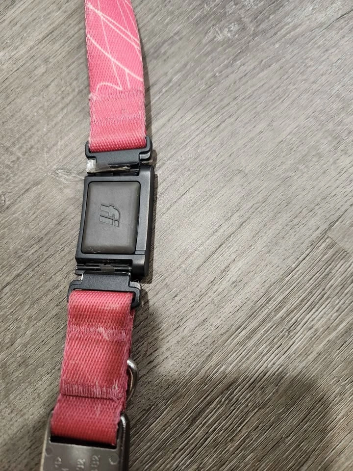 Fi Series 3 Smart Dog Collar Pink w/ Charger - photo 3