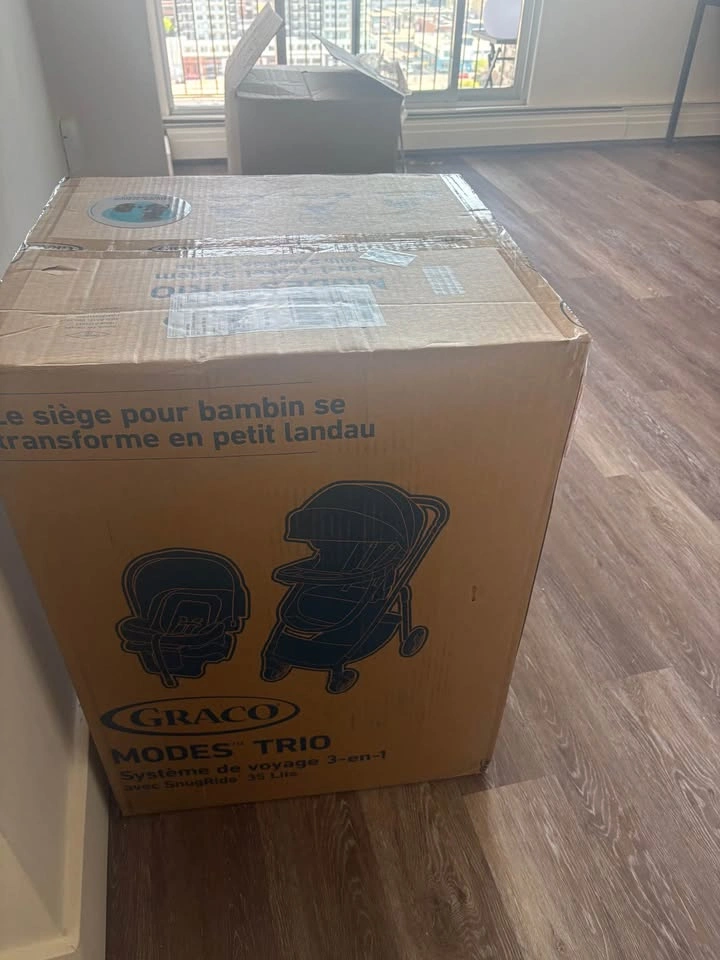Brand new Trio (Graco Travel System) - photo 4