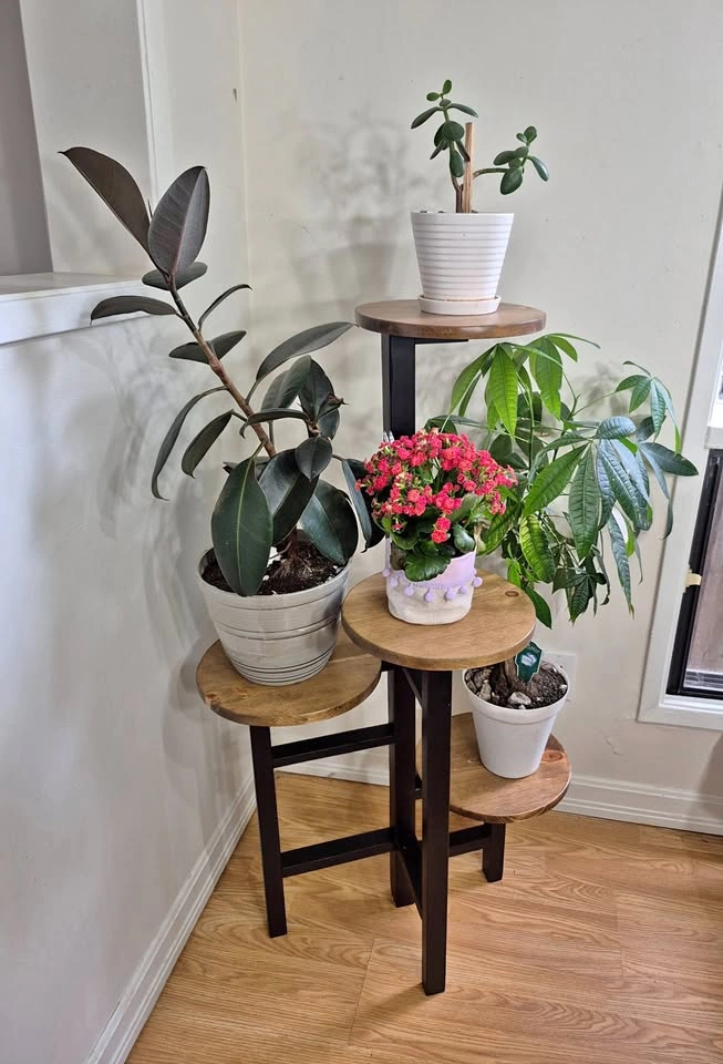 45" 4 Tier Solid Wood Plant Stand - Rustic Handmade