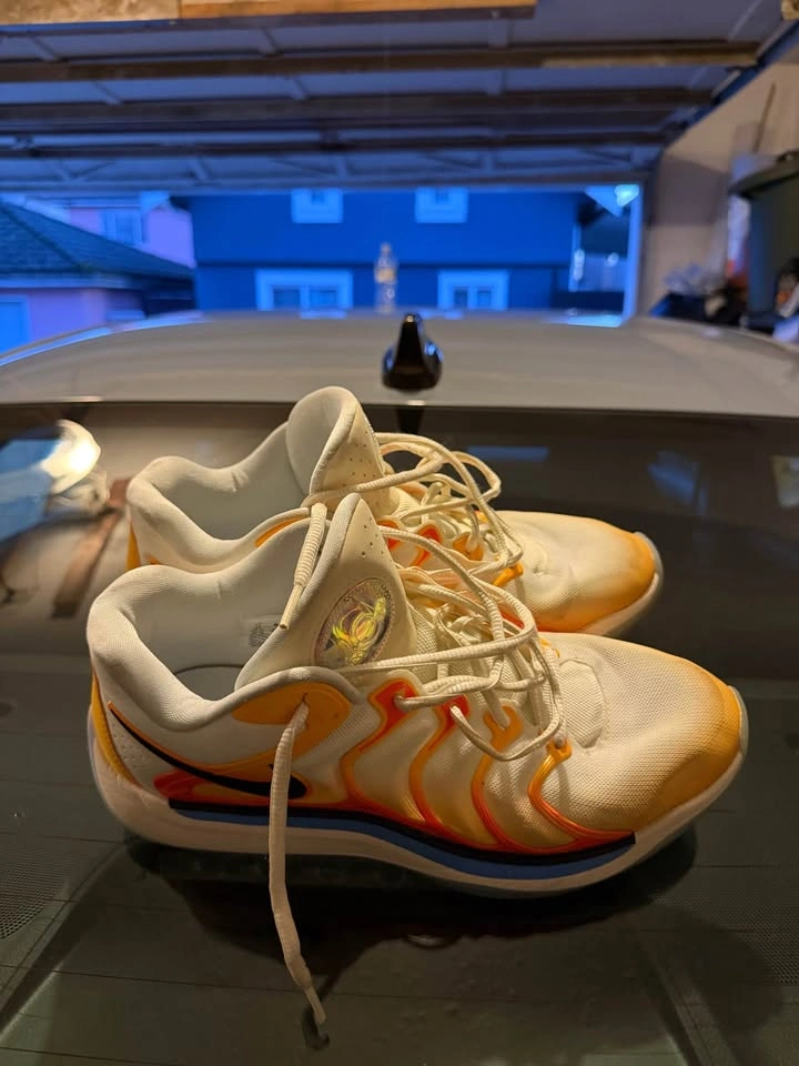 KD 17 - photo 3