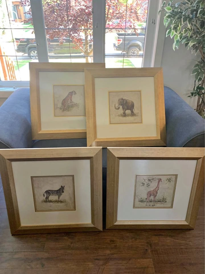 Set of 4 Framed Safari Animal Prints