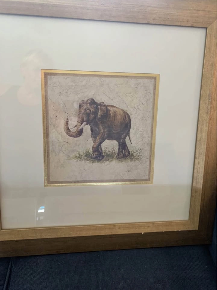 Set of 4 Framed Safari Animal Prints - photo 2