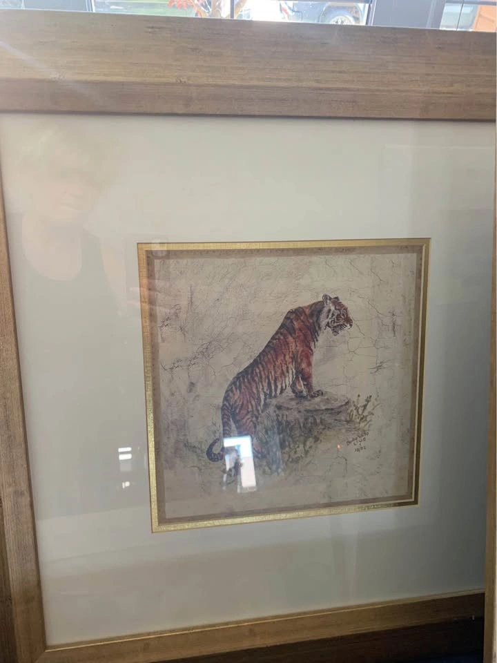 Set of 4 Framed Safari Animal Prints - photo 3