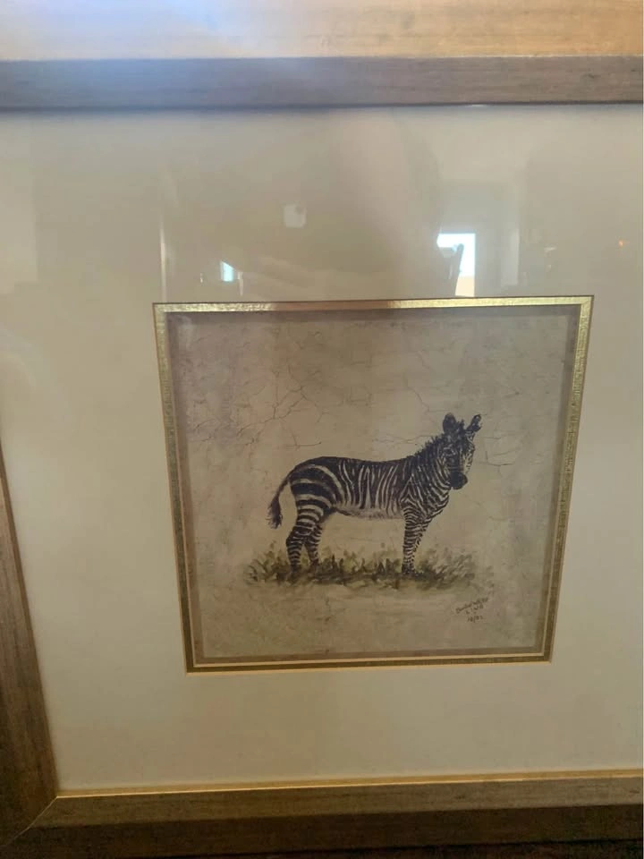 Set of 4 Framed Safari Animal Prints - photo 4