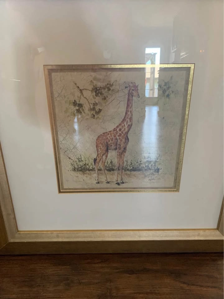 Set of 4 Framed Safari Animal Prints - photo 5