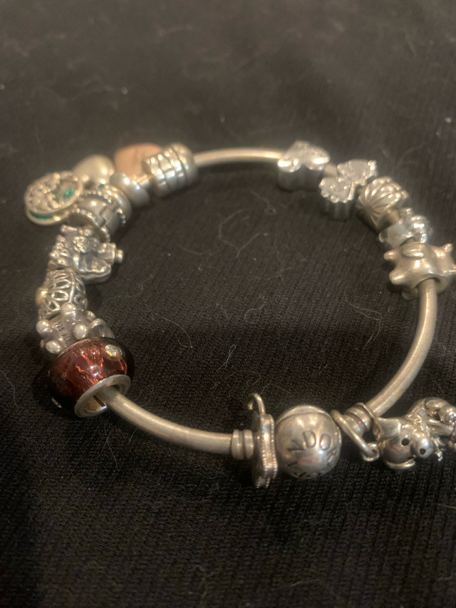 Pandora Bracelet - w 14 charms! $175 OBO