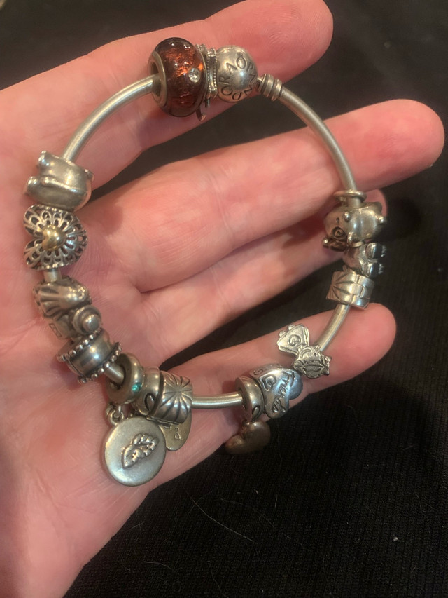 Pandora Bracelet - w 14 charms! $175 OBO - photo 5