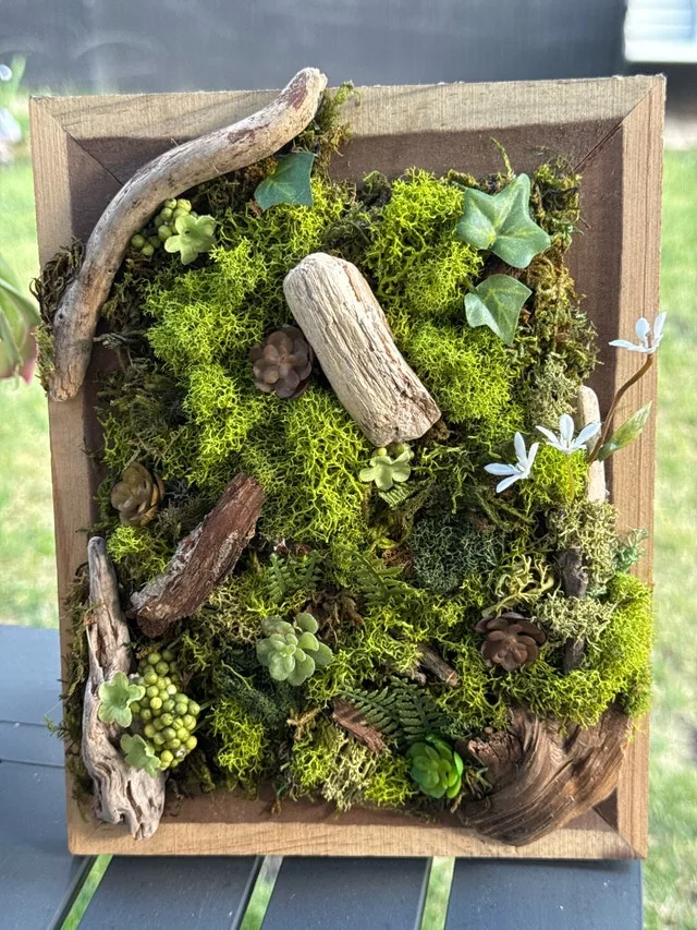 Beautiful Moss Art picture frame