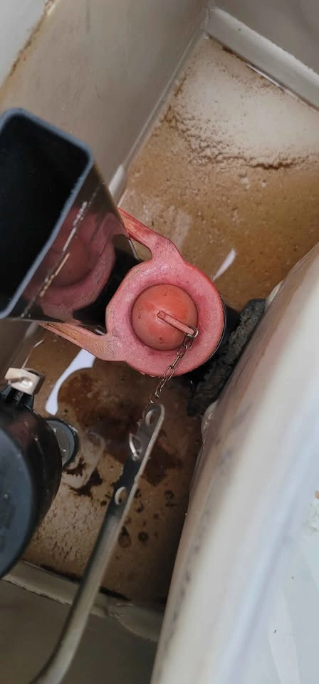 Kohler Rosario Toilet in Very Good Condition - photo 4