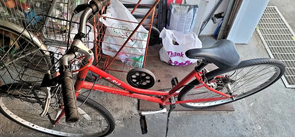 28" Big Bike for Men/Women with Basket - Easy Ride