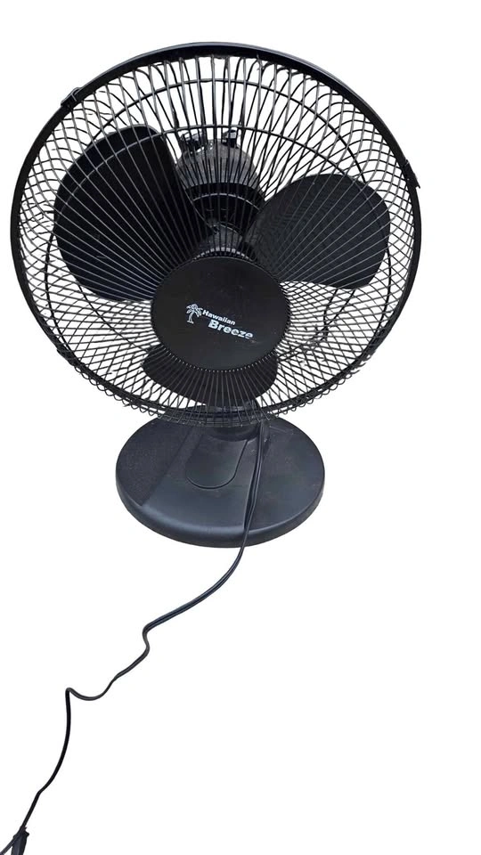 18in Desktop 3 Blade Fan
