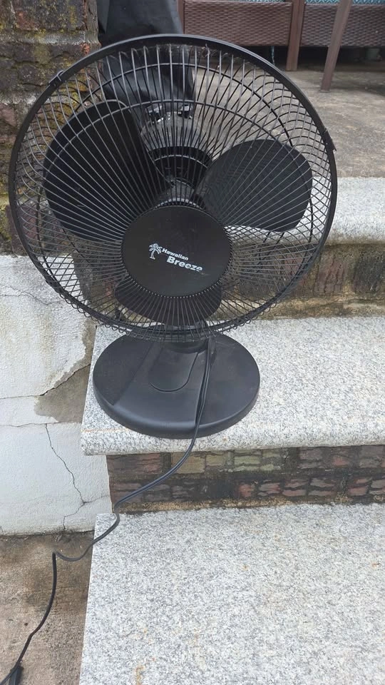 18in Desktop 3 Blade Fan - photo 2