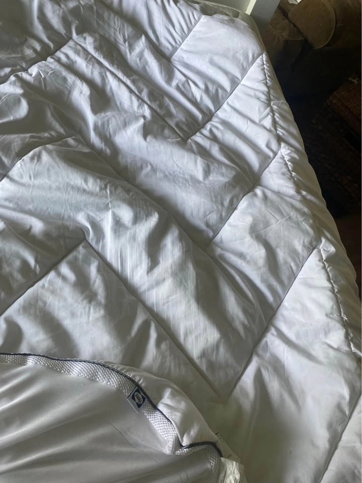 Sealy Beauty Rest Twin Firm Mattress & Cover - photo 3