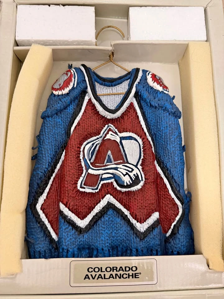 Star Hangers Colorado Avalanche Mini Jersey NHL Collectible Disp