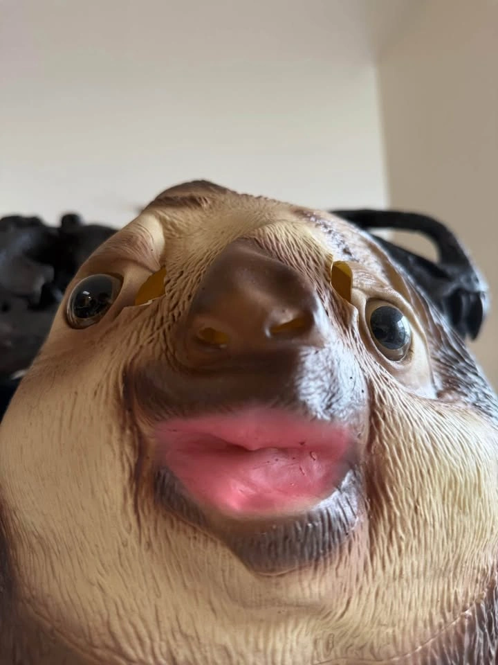 Halloween Sloth Mask - let’s be lazy today - photo 2
