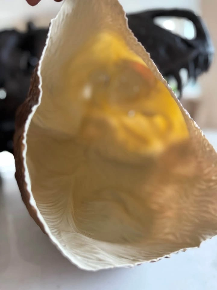 Halloween Sloth Mask - let’s be lazy today - photo 4