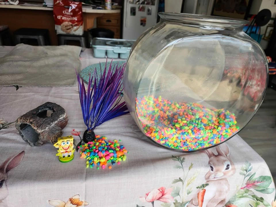 Fish bowl with Sponge Bob accessories - photo 2