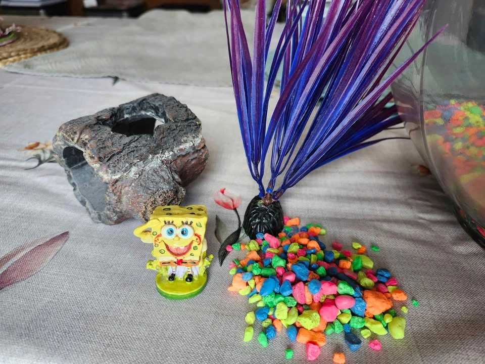 Fish bowl with Sponge Bob accessories - photo 3