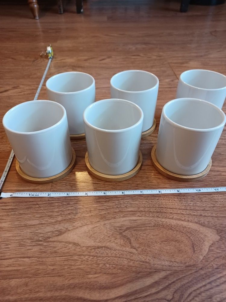 6 White Ceramic Planter Pots With Wooden Catch Basins