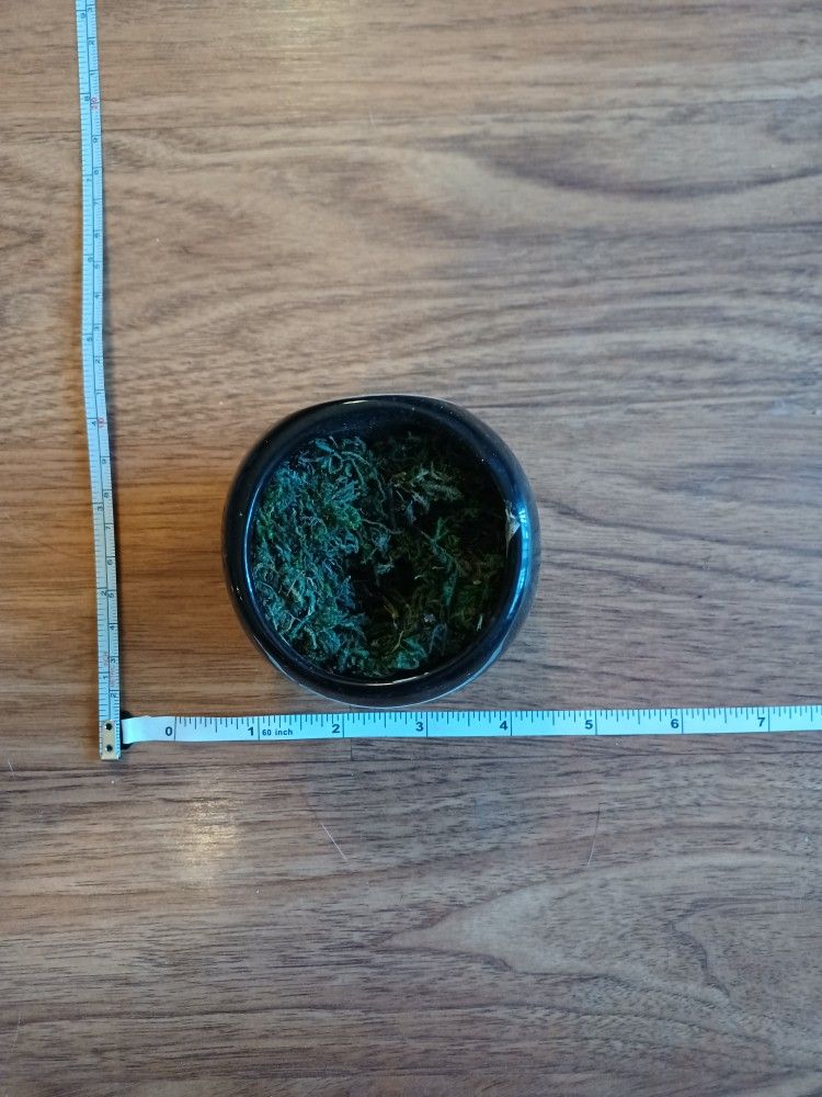 Small Black Ceramic Magnetic Planter - photo 2