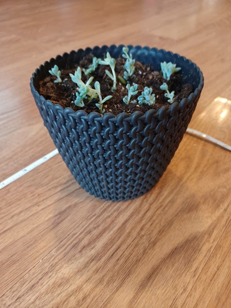 Black Plastic Planter Pot Perfect For Indoor Or Outdoor Plants - photo 4