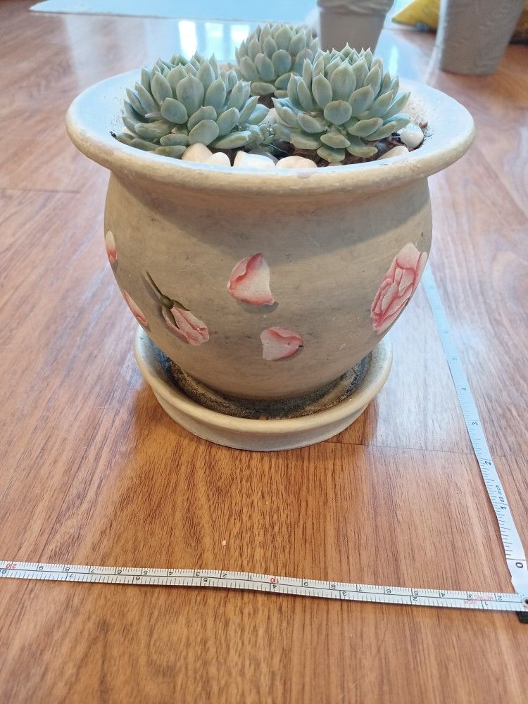 Gray With Roses Theme Decorative Planter Pot With 3 Succulents - photo 3