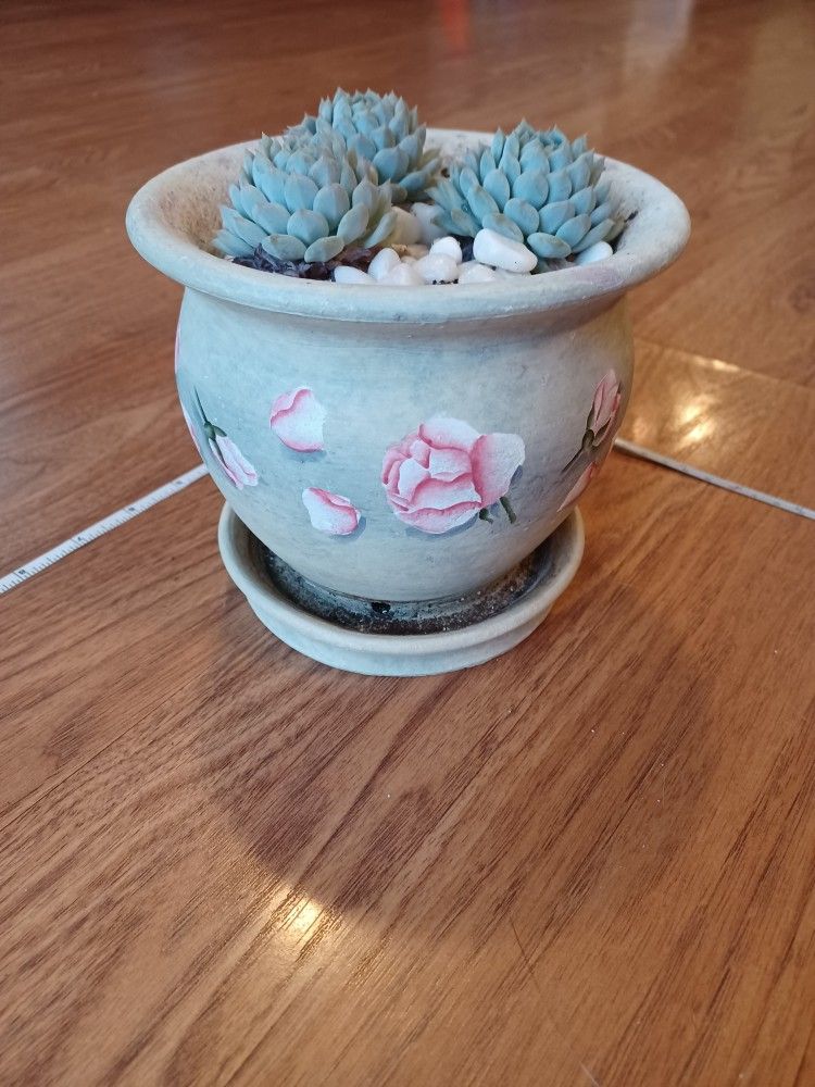 Gray With Roses Theme Decorative Planter Pot With 3 Succulents - photo 4