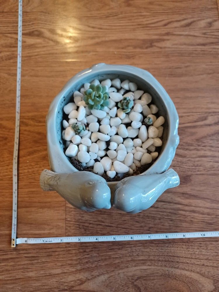 Gray Ceramic Lovebirds Planter With Succulents - photo 2