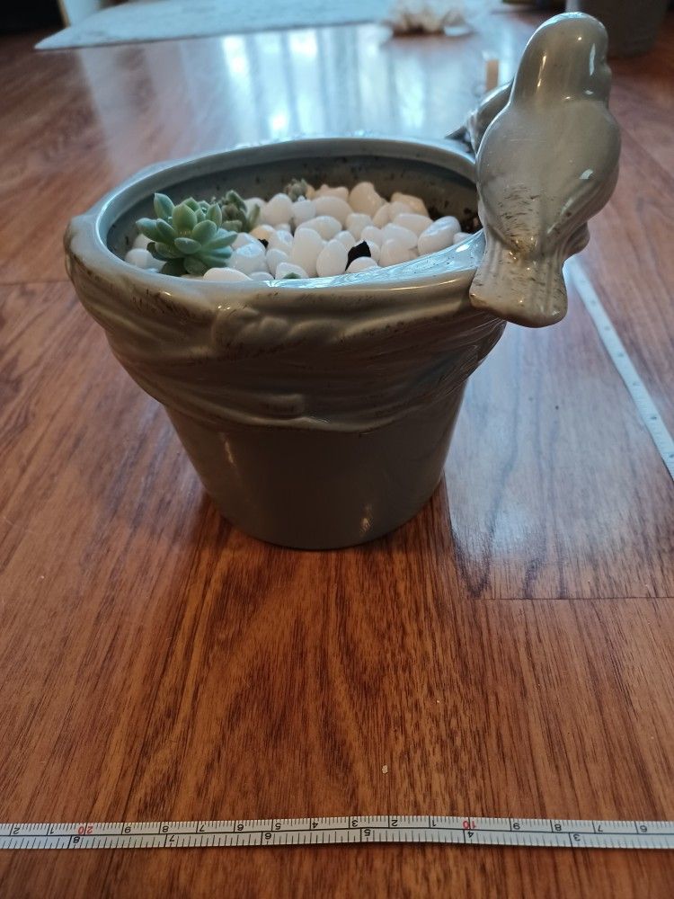 Gray Ceramic Lovebirds Planter With Succulents - photo 3