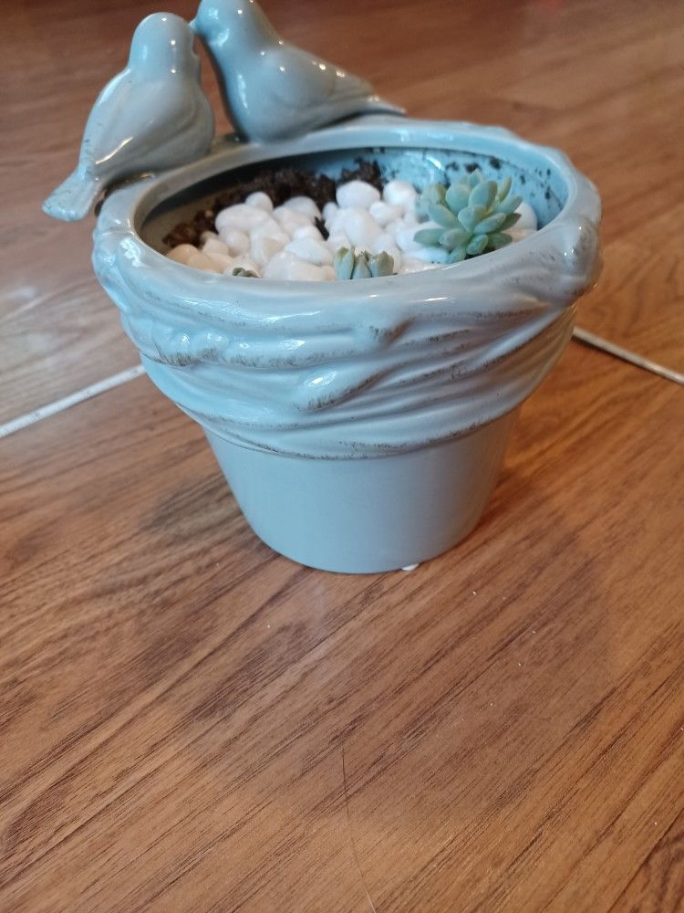 Gray Ceramic Lovebirds Planter With Succulents - photo 4