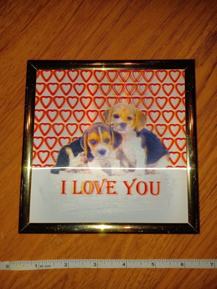 Adorable Framed 2-D Puppy Picture