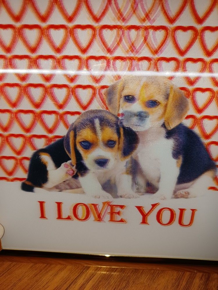 Adorable Framed 2-D Puppy Picture - photo 4