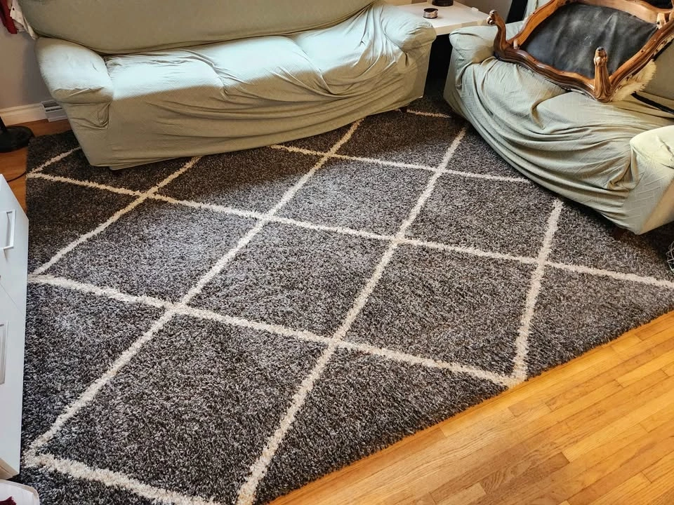 Area rug - photo 2