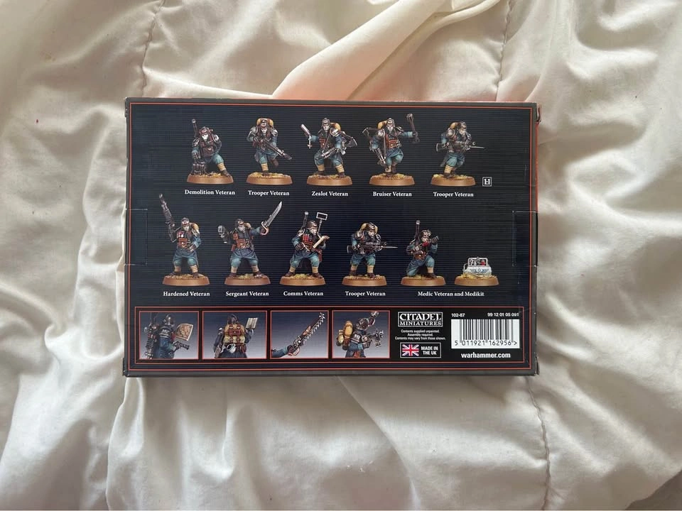 NIB veteran guardsmen killteam (OOP) - photo 2