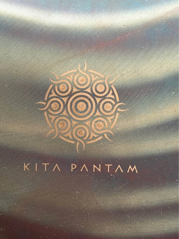 Kita Pantam Handpan (D Minor / Re Minor) – Galaxy Finish - photo 3