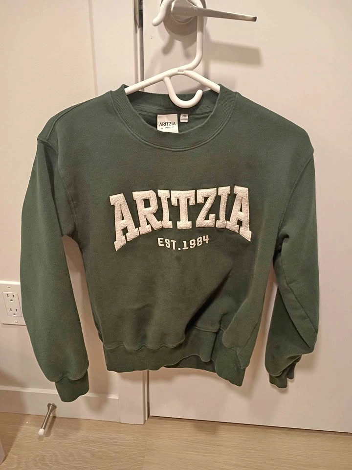 Aritzia "Sweatfleece" hoodie