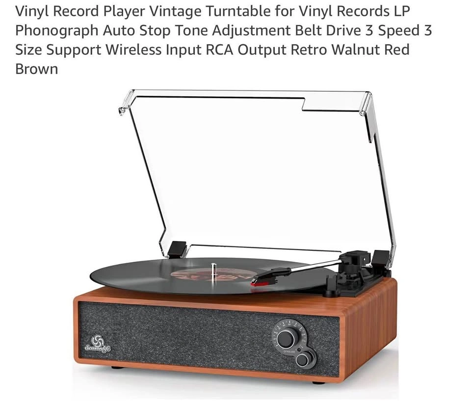 Vinyl Record Player with Speakers