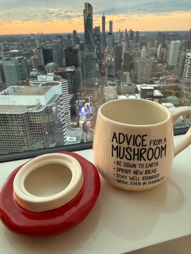 Our Name is Mud Mushroom Mug (new) - photo 2