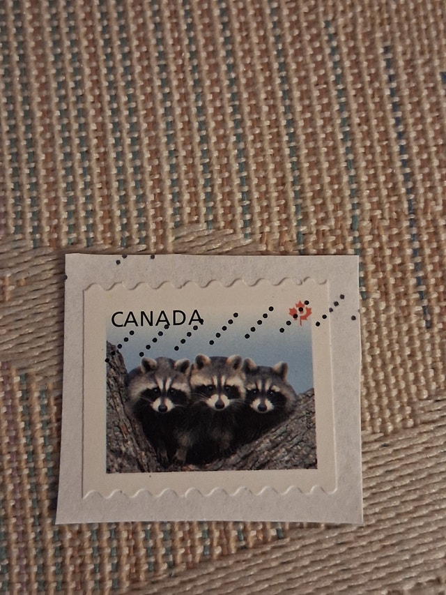 2012 Canada "Baby Wildlife" series Raccoons Permanent (P) stamp