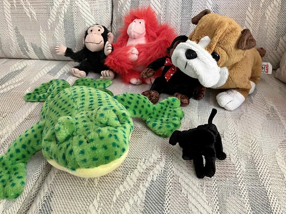 Assorted Stuffed Animals Plush Toys