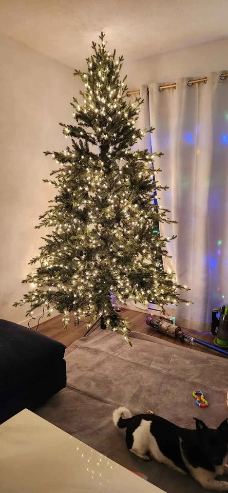 9 ft Canvas Oxford Christmas Tree - photo 3
