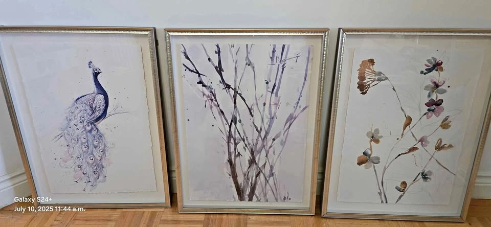 Set of Silver framed Art Paintings