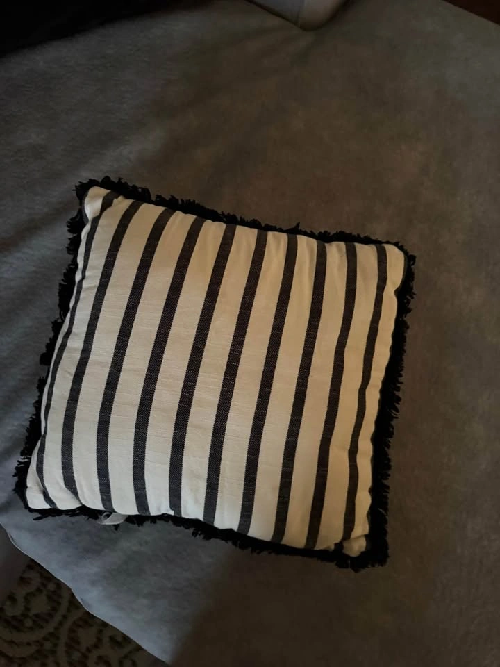 MOVING SALE: Throw Pillows ($5 for all) - photo 2