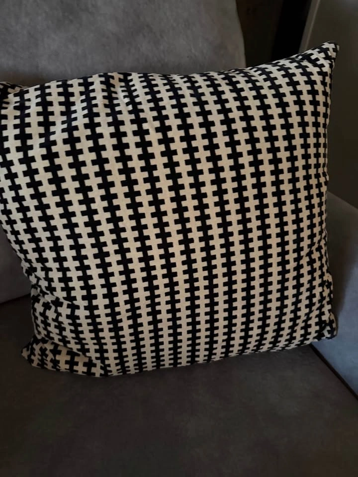 MOVING SALE: Throw Pillows ($5 for all) - photo 3