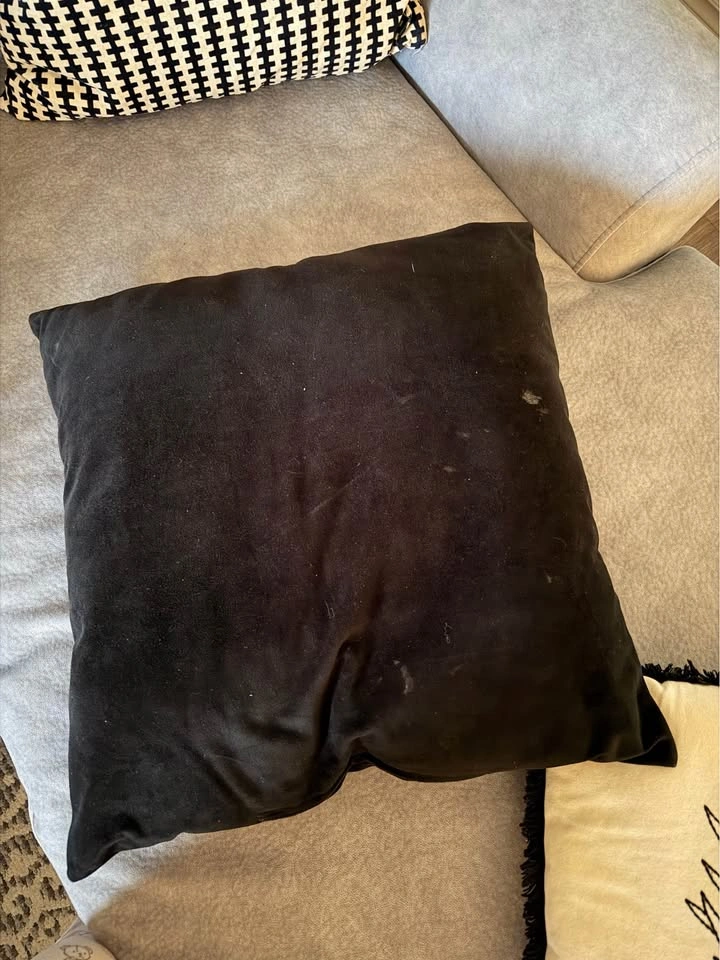 MOVING SALE: Throw Pillows ($5 for all) - photo 4